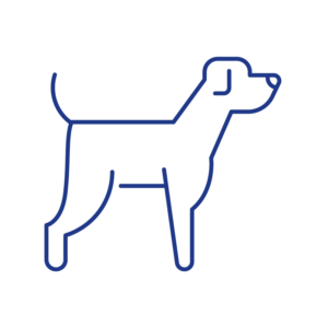 Dog Bites